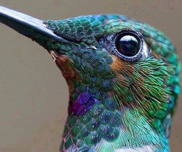 10494847_10204378556170005_2807976143705937526_n